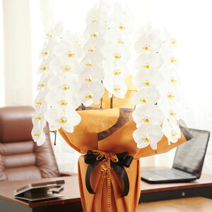 yz胉bsOmm[uEIWnӒ@3{ij@36`39֒xӒ R`E   aj j j t[Mtg v[g 