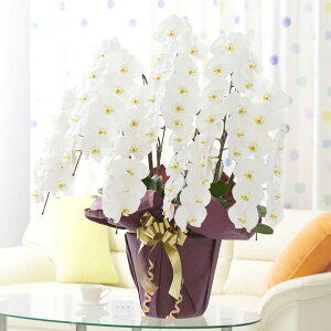 yzӒ7{ij@5~R[XӒ R`E   aj j j t[Mtg  v[g 蕨 Sz D bZ[WJ[h 