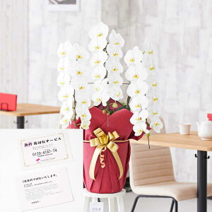 yzzn聄T[rX`Pbgt@Ӓ3{ij@2~R[Xi36֒xjj   R`E 傤  t[Mtg v[g 