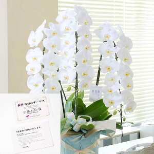 yzzn聄T[rX`Pbgt@Ӓ3{ij@3~R[Xi45`51֒xjj   R`E 傤  t[Mtg v[g