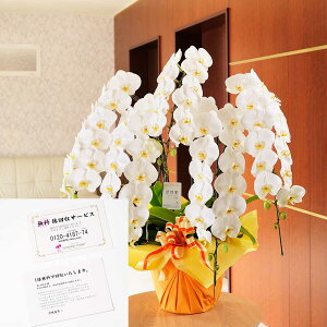 yzzn聄T[rX`Pbgt@Ӓ5{ij@5~R[Xi75`85֒xjj   R`E 傤  t[Mtg v[g