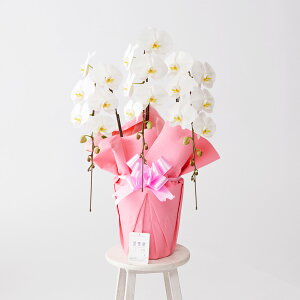 yzm6炫nӒ3{ij@1.5~R[Xi30`33֒xjӒ R`E   aj j j t[Mtg v[g 蕨 Sz D