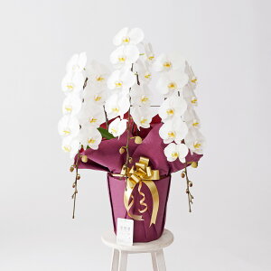 yzm6炫nӒ3{ij@3~R[Xi45`51֒xjӒ R`E   aj j j t[Mtg v[g 蕨 Sz D 