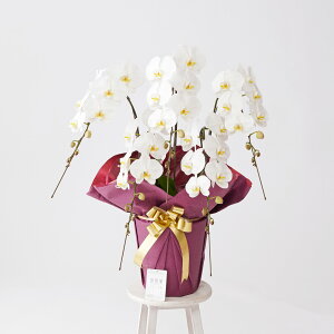 yzm6炫nӒ5{ij@3~R[Xi50`55֒xjӒ R`E   aj j j t[Mtg v[g 蕨 Sz D 