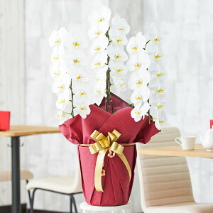 yzm_ѐYb܁@ܔ_nӒ3{ij30`33֒xӒ R`E   aj j j t[Mtg  RXp 蕨 Sz bZ