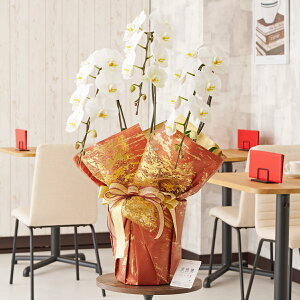 胉bsOma뎽nӒ@3{ij@30`33֒xӒ R`E   aj j v[g 蕨 Sz D bZ[WJ[h y