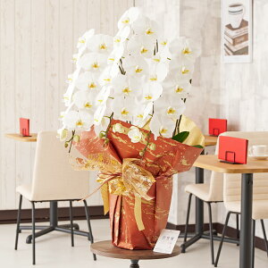 胉bsOma뎽nӒ@3{ij@36`39֒xӒ R`E   aj j v[g 蕨 Sz D bZ[WJ[h y