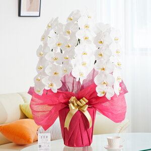 【送料無料】電報・祝電付き 胡蝶蘭3本立(白) 1.5万円コース(30〜33輪程度)※台紙:ピンク胡蝶蘭 コチョウラン 鉢花 お花 誕生日祝い 結婚祝い お祝い フラワーギフト プレゼント 贈
