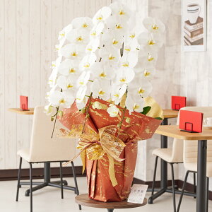 胉bsOma뎽nӒ@3{ij@42`51֒xӒ R`E   aj j v[g 蕨 Sz D bZ[WJ[h y