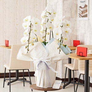 胉bsOmACV[u[nӒ@3{ij@30`33֒xӒ R`E   aj j v[g 蕨 Sz D bZ[WJ[h 