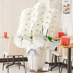 胉bsOmACV[u[nӒ@3{ij@42`51֒xӒ R`E   aj j v[g 蕨 Sz D bZ[WJ[h 