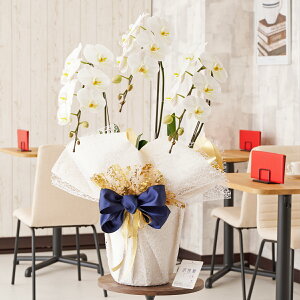 胉bsOmACr[eCXgnӒ@3{ij@30`33֒xӒ R`E   aj j v[g 蕨 Sz D bZ[WJ[h