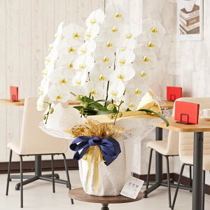 胉bsOmACr[eCXgnӒ@3{ij@36`39֒xӒ R`E   aj j v[g 蕨 Sz D bZ[WJ[h