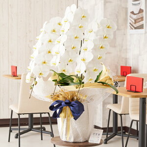 胉bsOmACr[eCXgnӒ@3{ij@42`51֒xӒ R`E   aj j v[g 蕨 Sz D bZ[WJ[h