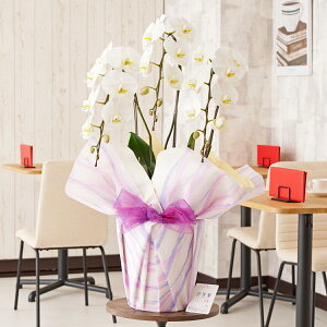 胉bsOmg_nӒ@3{ij@30`33֒xӒ R`E   aj j v[g 蕨 Sz D bZ[WJ[h 