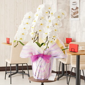 胉bsOmg_nӒ@3{ij@36`39֒xӒ R`E   aj j v[g 蕨 Sz D bZ[WJ[h 