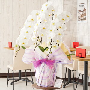 胉bsOmg_nӒ@3{ij@42`51֒xӒ R`E   aj j v[g 蕨 Sz D bZ[WJ[h 