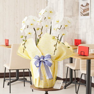 胉bsOm\xnӒ@3{ij@30`33֒xӒ R`E   aj j v[g 蕨 Sz D bZ[WJ[h 