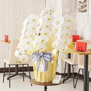 胉bsOm\xnӒ@3{ij@36`39֒xӒ R`E   aj j v[g 蕨 Sz D bZ[WJ[h 