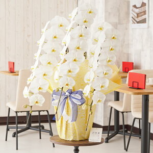 胉bsOm\xnӒ@3{ij@42`51֒xӒ R`E   aj j v[g 蕨 Sz D bZ[WJ[h 