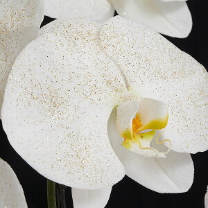 yzS[h@Ӓ3{ij@30֒xR[XӒ R`E   aj j j t[Mtg v[g 蕨 Sz D b