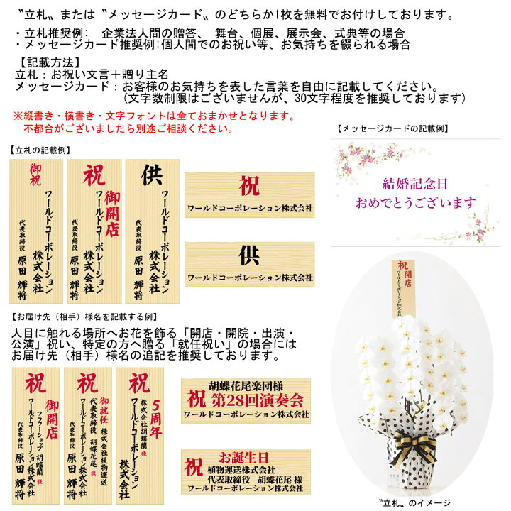 楽天市場 送料無料 最高級胡蝶蘭3本立 白 3万円コース 45 51輪程度 胡蝶蘭 コチョウラン 鉢花 お花 誕生日祝い 結婚祝い お祝い フラワーギフト プレゼント 贈り物 全国配送 立札無料 メッセージカード無料 あす楽 楽ギフ Sp Gift S