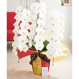 胉bsOm؈ࣁEnӒ@3{ij@36`39֒xӒ R`E   aj j v[g 蕨 Sz D bZ[WJ[h 