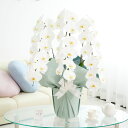 選べる3色 胡蝶蘭3本立 1.5万円コース（36～39輪程度）送料無料 胡蝶蘭 コチョウラン 鉢花 お花 誕生日祝い 結婚祝い お祝い フラワーギフト 贈答 コスパ 贈り物 全国配送 メッセージカード無料 あす楽 楽ギフ