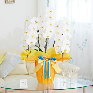 胉bsOmTj[IWnӒ@3{ij@30`33֒xӒ R`E   aj j v[g 蕨 Sz D bZ[WJ[h 