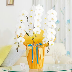 胉bsOmTj[IWnӒ@3{ij@36`39֒xӒ R`E   aj j v[g 蕨 Sz D bZ[WJ[h 