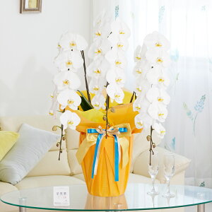 胉bsOmTj[IWnӒ@3{ij@42`51֒xӒ R`E   aj j v[g 蕨 Sz D bZ[WJ[h 