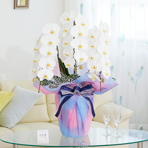 胉bsOm݁nӒ@3{ij@30`33֒xӒ R`E   aj j v[g 蕨 Sz D bZ[WJ[h y 