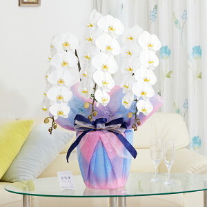 胉bsOm݁nӒ@3{ij@36`39֒xӒ R`E   aj j v[g 蕨 Sz D bZ[WJ[h y 