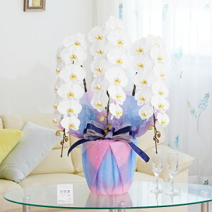 胉bsOm݁nӒ@3{ij@42`51֒xӒ R`E   aj j v[g 蕨 Sz D bZ[WJ[h y 