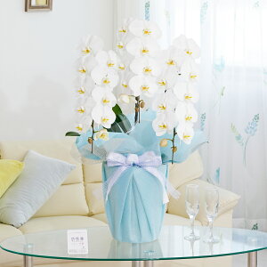 胉bsOmI[nӒ@3{ij@30`33֒xӒ R`E   aj j v[g 蕨 Sz D bZ[WJ[h 