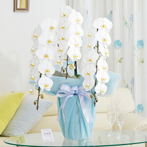 胉bsOmI[nӒ@3{ij@36`39֒xӒ R`E   aj j v[g 蕨 Sz D bZ[WJ[h 