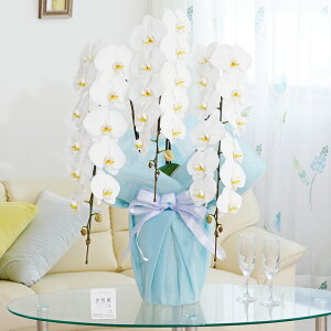 胉bsOmI[nӒ@3{ij@42`51֒xӒ R`E   aj j v[g 蕨 Sz D bZ[WJ[h 