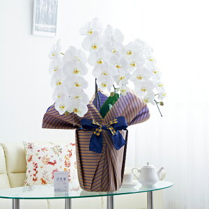 胉bsOmX[cXgCvnӒ 3{ij 30`33֒xӒ R`E   aj j v[g 蕨 Sz D bZ[WJ[h 