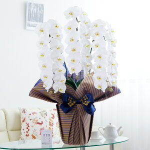 胉bsOmX[cXgCvnӒ 3{ij 42`51֒xӒ R`E   aj j v[g 蕨 Sz D bZ[WJ[h 