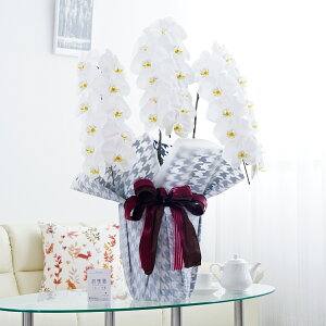 胉bsOmNVJX^CnӒ 3{ij 30`33֒xӒ R`E   aj j v[g 蕨 Sz D bZ[WJ[h