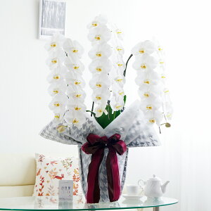 胉bsOmNVJX^CnӒ 3{ij 36`39֒xӒ R`E   aj j v[g 蕨 Sz D bZ[WJ[h