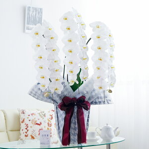 胉bsOmNVJX^CnӒ 3{ij 42`51֒xӒ R`E   aj j v[g 蕨 Sz D bZ[WJ[h