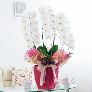 胉bsOmfBbVCnӒ 3{ij 30`33֒xӒ R`E   aj j v[g 蕨 Sz D bZ[WJ[h