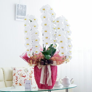 胉bsOmfBbVCnӒ 3{ij 42`51֒xӒ R`E   aj j v[g 蕨 Sz D bZ[WJ[h