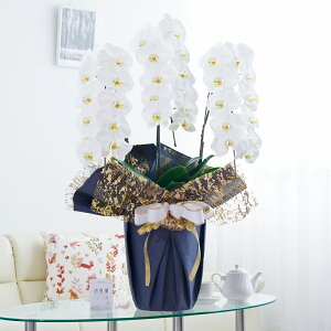 胉bsOmNbV[eCXgnӒ 3{ij 30`33֒xӒ R`E   aj j v[g 蕨 Sz D bZ[WJ[h