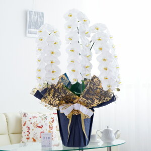 胉bsOmNbV[eCXgnӒ 3{ij 42`51֒xӒ R`E   aj j v[g 蕨 Sz D bZ[WJ[h