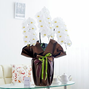 胉bsOmKg[IynӒ 3{ij 30`33֒xӒ R`E   aj j v[g 蕨 Sz D bZ[WJ[h 