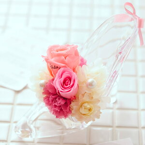 yzbZ[Wt[@Vf̂isNj@`EɈ̃v[gvU[uht[   TvCY  aj j  v[