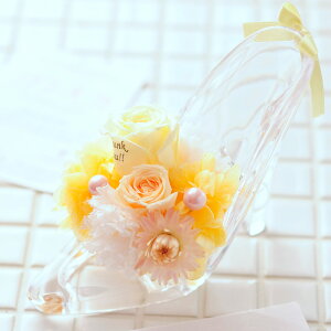 yzbZ[Wt[@Vf̂iIWj@`EɈ̃v[gvU[uht[   TvCY  aj j  v[