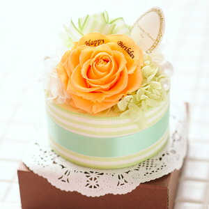 yzbZ[Wt[@z[P[LiIWjvU[uht[ C ͂Ȃ TvCY rbN  aj j  v[g 蕨 Sz b